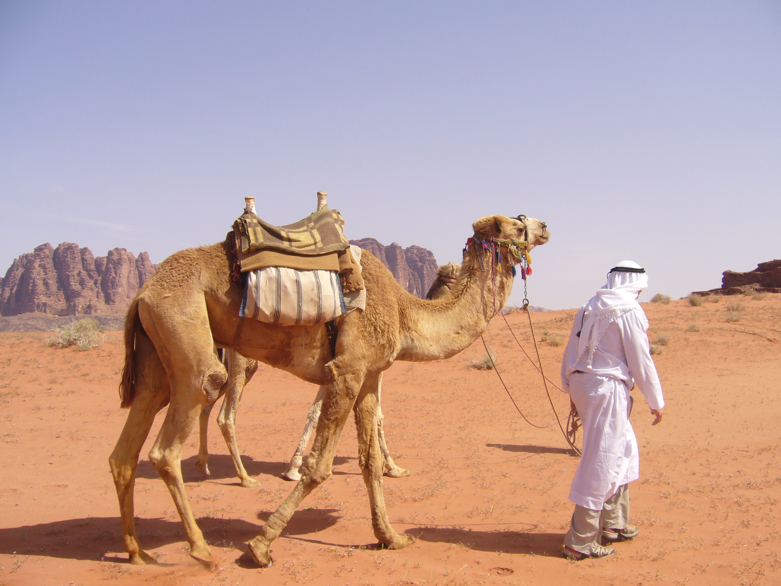 Miles Spencer - APOD 4.18.06 KSA.Jor Border 237